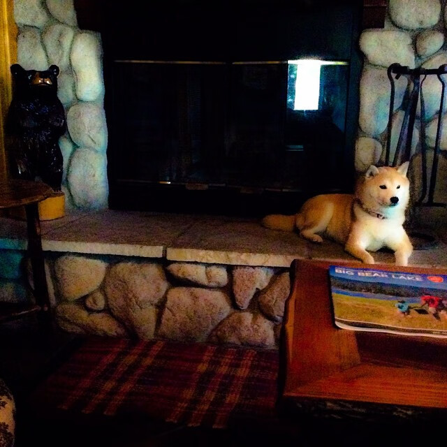 青训体系融合多学科支持运动员全面发展，青训体育