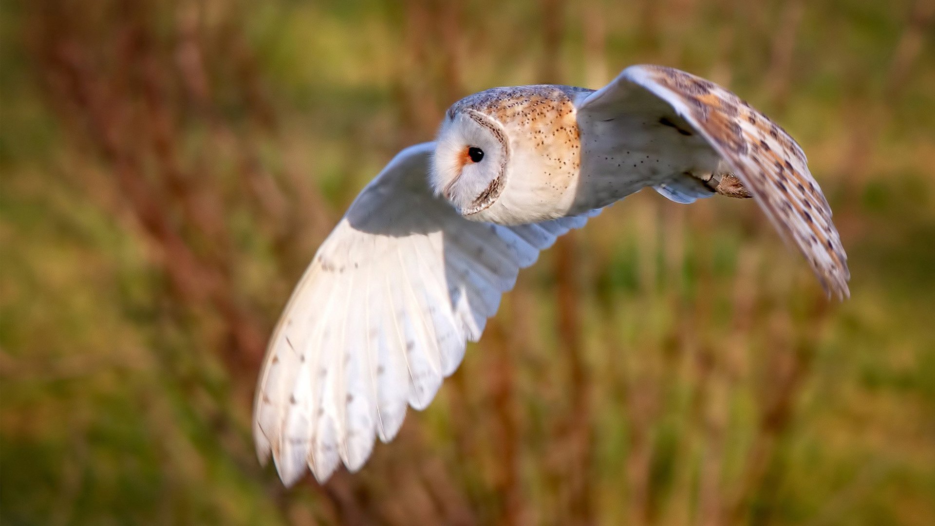 乐鱼体育网址入口-中国足球青训教练员培训课程内容不断丰富，做足球青训教练的行业怎么样