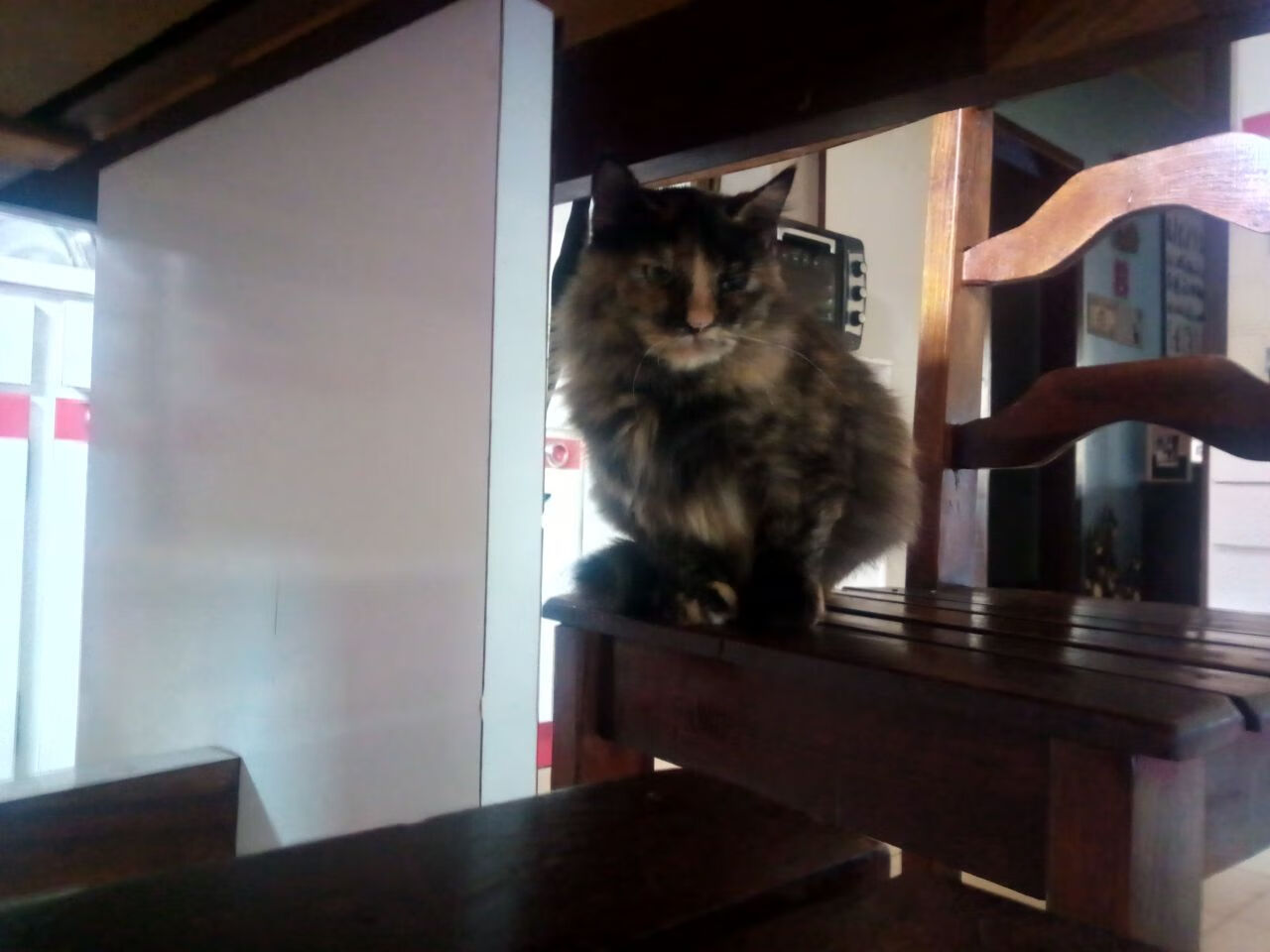 电子竞技职业联赛规则优化，电子竞技联赛有哪些