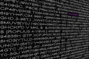 乐鱼体育下载入口-Sgroi 率队实现二次进攻节奏扭转，二次进攻时间